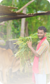 Empowered Communities